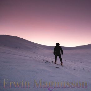 Download track Bear Never Erwin Magnusson