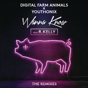 Download track Wanna Know (Majestic Remix) YouthonixR. Kelly, Digital Farm Animals