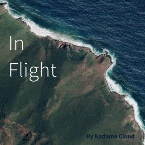 Download track In Flight Kodama Cloud