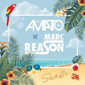 Download track Suaste DJ Amato