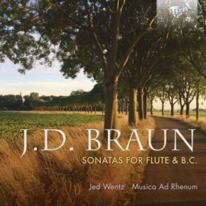 Download track Flute Sonata Prima In D Major, Op. 1: III. Gavotte I & Ii' Jed Wentz, Jed Wentz Musica Ad Rhenum