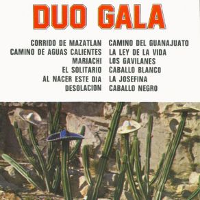 Download track Camino De Aguas Calientes Duo GalaSu Mariachi