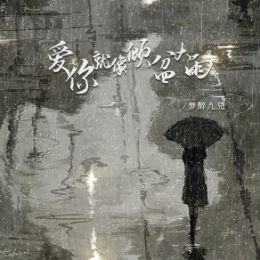 Download track 爱你就像倾盆大雨 (伴奏) 梦醉九兒