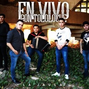 Download track Eres Mala (En Vivo) La Jaula