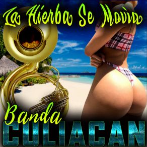 Download track La Hierba Se Movia Banda Culiacan