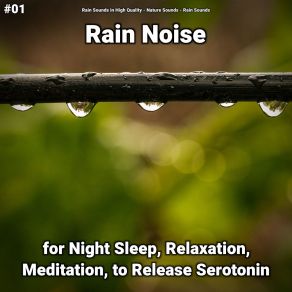 Download track Rain Sounds Without Music Rain Sounds