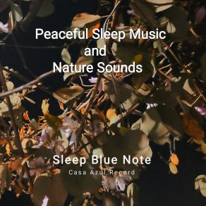 Download track Peaceful Sleep Music And Nature Sounds Part XIV Sleep Blue Note