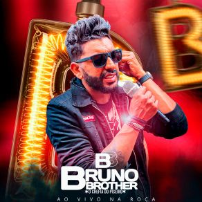 Download track Não To Valendo Nada (Ao Vivo) Bruno Brother