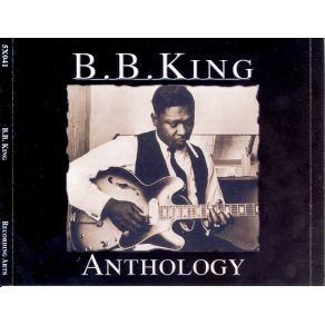 Download track You Know I Love You B. B. King