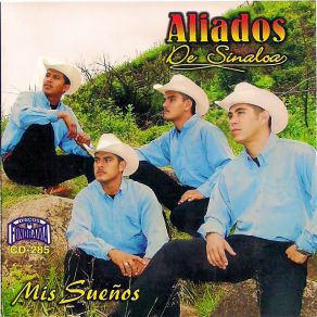 Download track Burbujas De Amor Aliados De Sinaloa