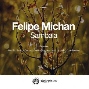 Download track Sambala (Nicolas Baschiera Remix) Felipe Michan