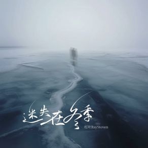 Download track 迷失在冬季 (伴奏版) 红叶RaySteven