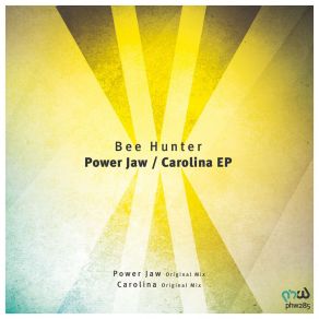 Download track Carolina (Original Mix) Bee Hunter