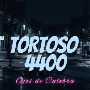 Download track Paraíso Infinito Tortoso 4400