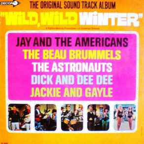 Download track Two Of A Kind Jerry LongJay & The Americans