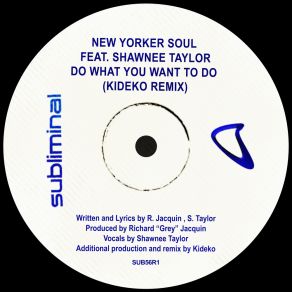 Download track Do What You Want To Do (Kideko Remix) Shawnee TaylorKideko