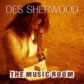 Download track Secret Hero Des Sherwood