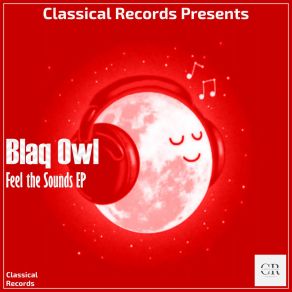 Download track Feel The Sounds Blaq Owl