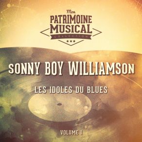 Download track Sonny Boy's Cold Chills Sonny Boy Williamson