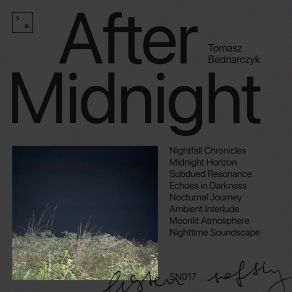 Download track Moonlit Atmosphere Tomasz Bednarczyk