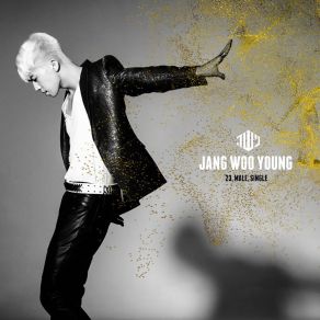 Download track Could Not Even Start Jang Woo Young