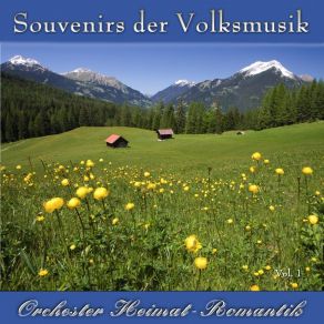 Download track Schuhplattler-Jodler Orchester Heimat-Romantik