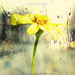 Download track Modern Ambience For Rain Rainy Day Music Beats