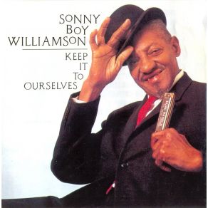 Download track When The Lights Went Out Sonny Boy Williamson