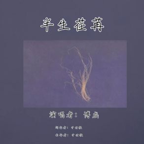 Download track 半生荏苒 (伴奏版) 博成