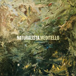 Download track Cerezo Meditello