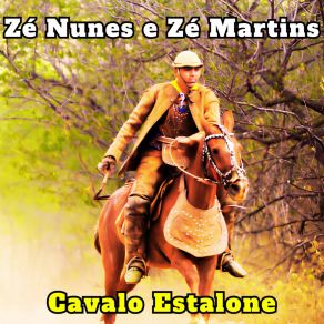 Download track Toada Liga Pra Mim (Cover) Zé Nunes E Zé Martins