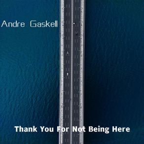 Download track Thank You For Not Being Here Andre Gaskell