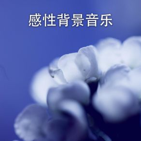 Download track 神奇的夜晚 RW 感性的歌曲