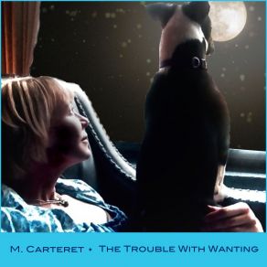 Download track The Trouble With Wanting M. Carteret