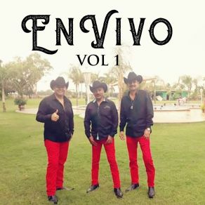 Download track A La Sombra De Un Nogal (En Vivo) Caballos Del Rancho