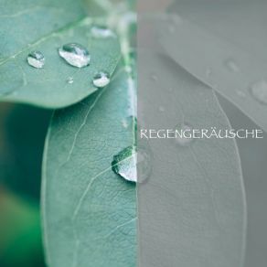 Download track Regen - Atme Tief Regen Zum Schlafen