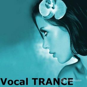 Download track Love Is Darkness (Original Mix) Sander Van Doorn, Carol Lee