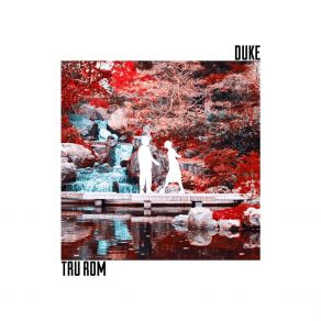 Download track Tru Rom Remix The DukeFluz