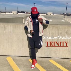 Download track BOUNCE BACK SHADOW WACKO