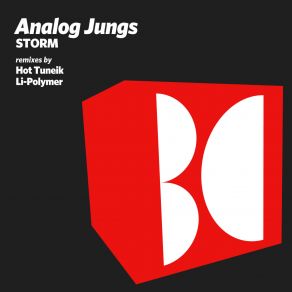 Download track Storm (Hot TuneiK Remix) Analog Jungs