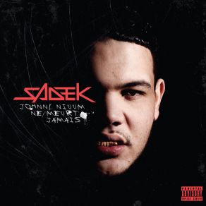 Download track Pas De Galere Sadek