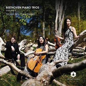 Download track 4. Piano Trio In G Major, Op. 1 No. 2 - IV. Finale. Presto Ludwig Van Beethoven