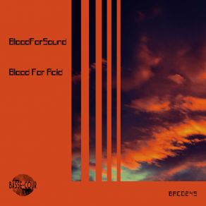 Download track Acid Empire (Original Mix) BloodForSound