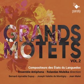 Download track Montigny Motet Beatus Vir Qui Timet Dominum Prélude Et Récit De Taille Beatus Vir Rolandas Muleika, Ensemble Antiphona