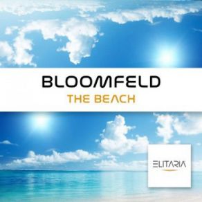 Download track Hawaii (Original Mix) Bloomfeld