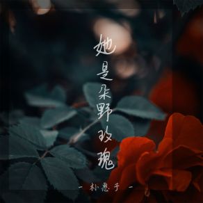 Download track 她是朵野玫瑰 (伴奏) 朴惠子