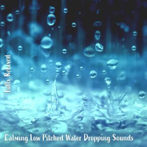 Download track Calming Low Pitched Water Dropping Sounds, Pt. 4 Steve Brassel