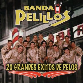 Download track Sombrita De Cocales Banda Pelillos