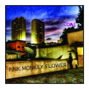 Download track Sweet Acid Error Pink Monkey Flower