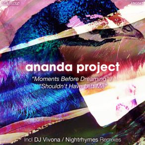Download track Shouldn't Have Left Me (Nightrhymes Remix) The Ananda Project